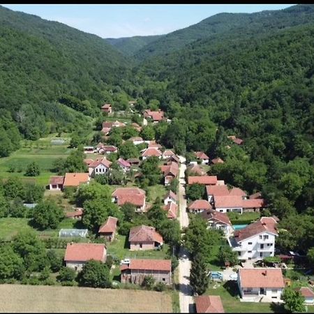 Апартаменты Domacinstvo Trifunovic Pretresnja Экстерьер фото