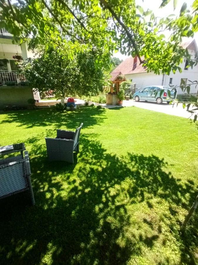 Апартаменты Domacinstvo Trifunovic Pretresnja Экстерьер фото