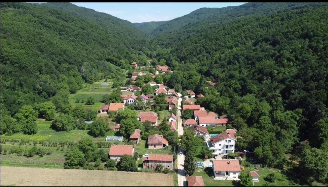 Апартаменты Domacinstvo Trifunovic Pretresnja Экстерьер фото